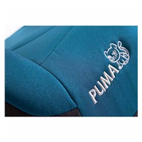 Autosedačka-podsedák CARETERO Puma Isofix green