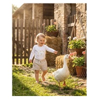 Dětské body s potiskem New Baby Husičky - krátký rukáv