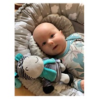 BAZÁREK Edukační hrající plyšová hračka s klipem Baby Mix zebra