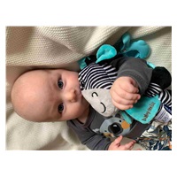 BAZÁREK Edukační hrající plyšová hračka s klipem Baby Mix zebra