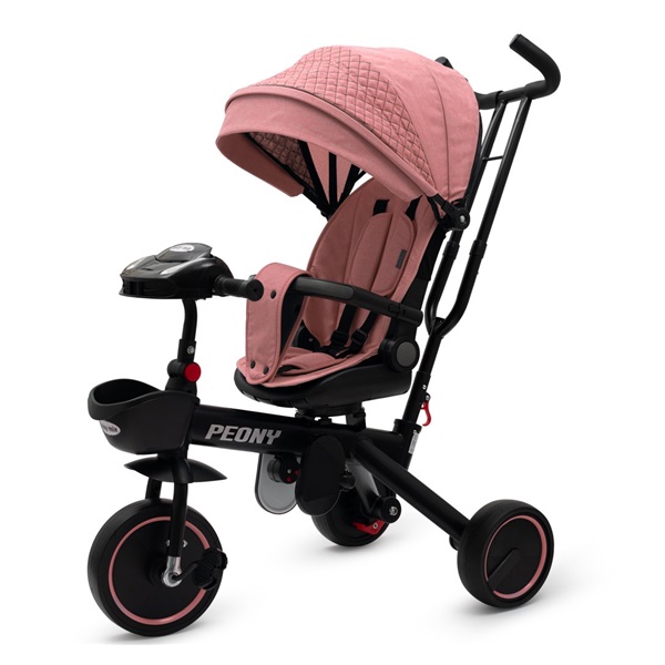 BAZÁREK Dětská tříkolka Baby Mix Peony EVA růžová