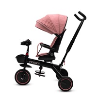 BAZÁREK Dětská tříkolka Baby Mix Peony EVA růžová