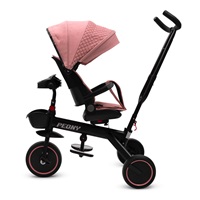 BAZÁREK Dětská tříkolka Baby Mix Peony EVA růžová
