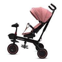 BAZÁREK Dětská tříkolka Baby Mix Peony EVA růžová