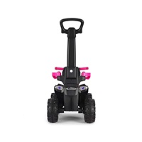 Dětské odrážedlo s vodící tyčí Milly Mally Wild 3v1 pink