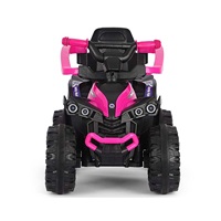 Dětské odrážedlo s vodící tyčí Milly Mally Wild 3v1 pink