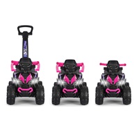 Dětské odrážedlo s vodící tyčí Milly Mally Wild 3v1 pink